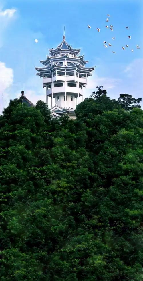 王志和